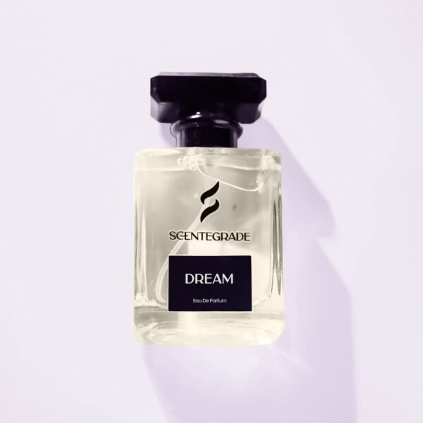 Dream-New