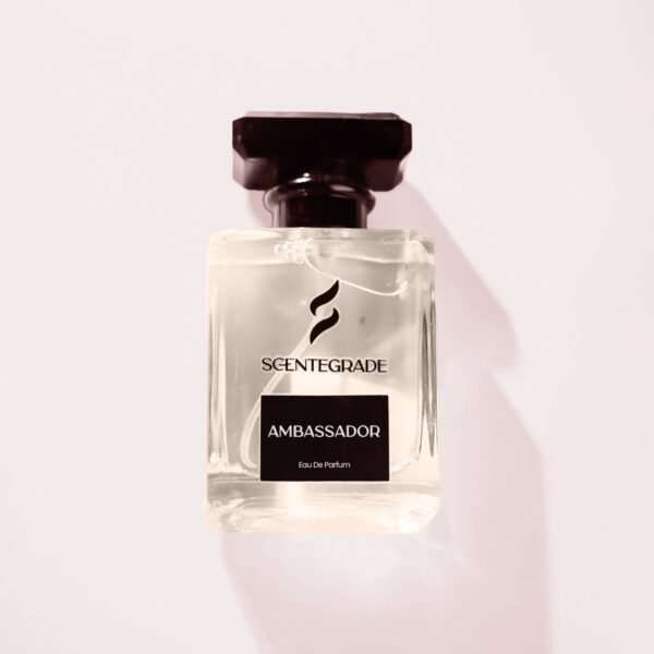 Ambassador-New